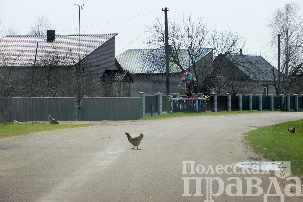 Храм Лемешевичи Пинский район