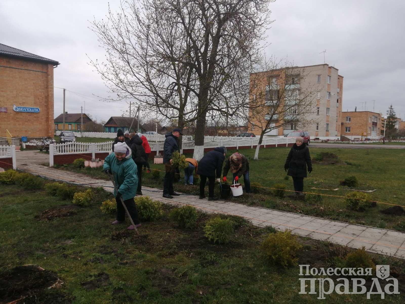 16 апреля – республиканский субботник! Куда перечислить заработанные  деньги? — PINSKNEWS.BY